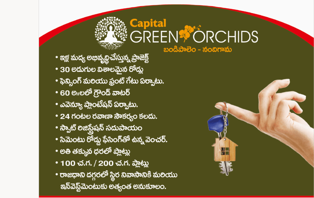 Capital Green Orchids