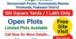 NamaSivaiah Puram Open Plots
